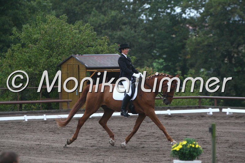 009M7570_Rotschopf_Dressur M.JPG